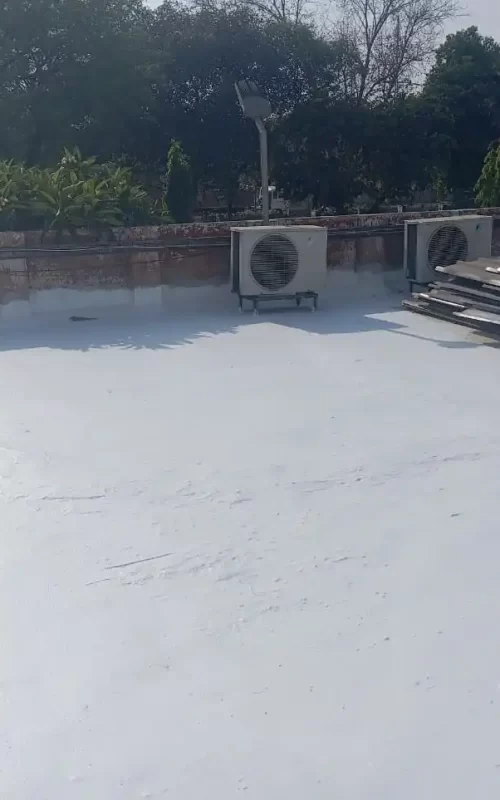 WhatsApp Image 2025-07-01 at 3.48.33 PM